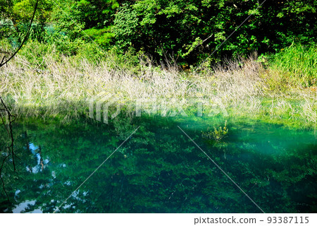 Landscape in nature 93387115