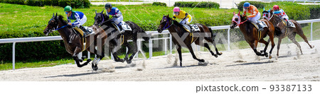 一群純種馬在最後一個拐角處沖向終點線 一群純種馬在最後一個拐角處沖向終點線 93387133