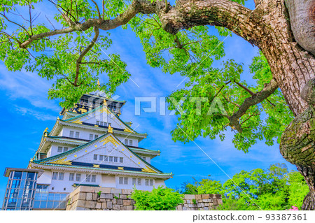 [Urban Scenery of Osaka] Osaka Castle Tower 93387361