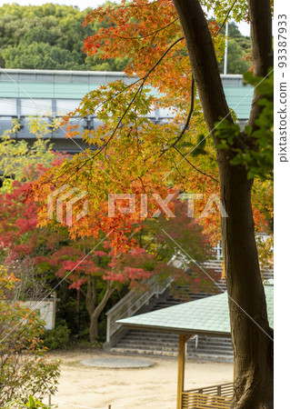 Autumn leaves and Chinese road 93387933