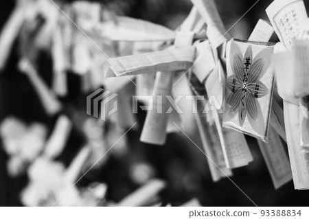 Monochrome omikuji 93388834