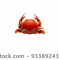 cooked crab dark orange peel isolated from white background 93389243