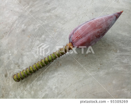 Pink banana flower close-up. Asia. Exotic cooking. Healthy lifestyle. Cement background. Copy space. Pink banana flower close-up. Asia. Exotic cooking. Healthy lifestyle. Cement background. Copy space. 93389269