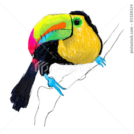 托科巨嘴鳥,鳥,多彩,插圖 托科巨嘴鳥,鳥,多彩,插圖 93389324