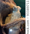 章魚 93389711