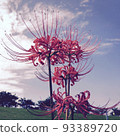 芒Sunahana 93389720