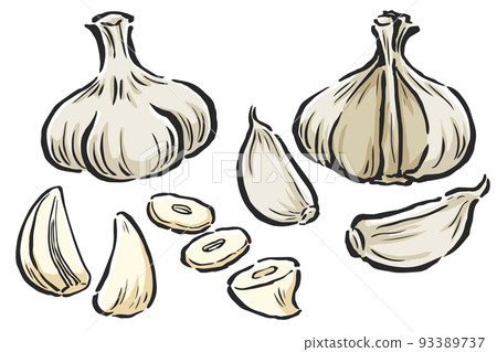 大蒜單、斷面、分離等手繪插畫集 大蒜單、斷面、分離等手繪插畫集 93389737