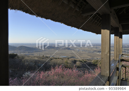 Panoramic view of the Kanto Plain from Azumaya and Mt.Tsukuba plum grove in full bloom 93389984