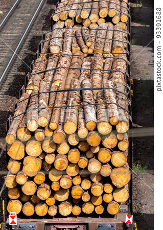 Close-up view railway sorting station with many transportation rail carriage. Railroad car wooden timber log and gas tanks logistics. Raw wood heating material transportation. Freight cargo transport 93391688