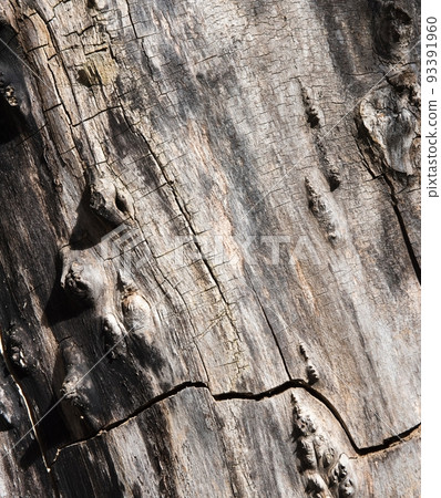 A textured wood that people don't picture as the background material of death with a black dirty cracked surface. 93391960
