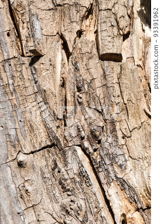 The light textured surface of the wood is suitable for an effective background. 93391962