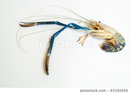 Top-down of a prawn or tiger shrimp isolated on white background, River shrimp or prawn raw on white background, The giant tiger prawns on the background. Top-down of a prawn or tiger shrimp isolated on white background, River shrimp or prawn raw on white background, The giant tiger prawns on the background. 93392648