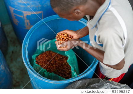 African Americam worker placing coffee beans in the bag into a plastic container 93396287