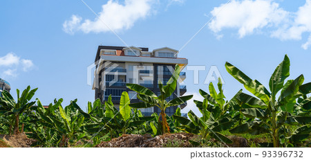 Residential apartment building built on a banana field. 93396732