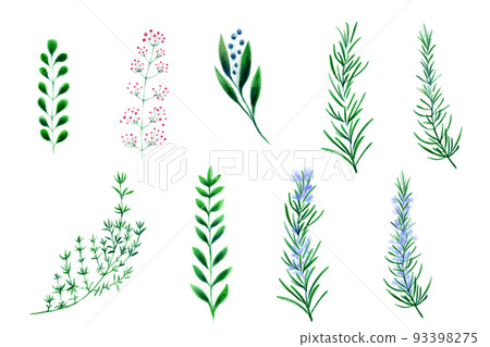 Plants-List- 93398275