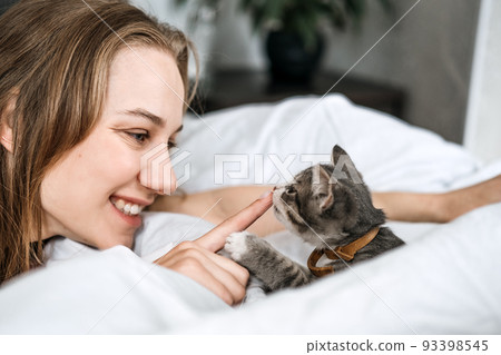 Cat Adoption, Adopt kitten from rescues and shelters. Rehome a Cat. Portrait of woman playing with outbred homeless adopted grey kitten Cat Adoption, Adopt kitten from rescues and shelters. Rehome a Cat. Portrait of woman playing with outbred homeless adopted grey kitten 93398545