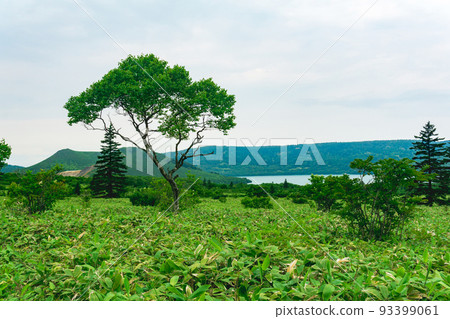 natural landscape of Kunashir island, view of the Golovnin volcano caldera with hot lakes natural landscape of Kunashir island, view of the Golovnin volcano caldera with hot lakes 93399061
