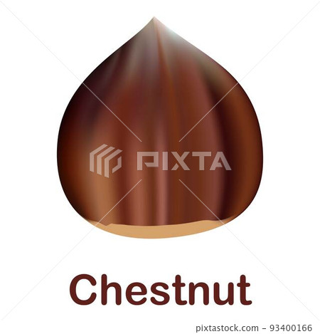 Chestnut icon, realistic style 93400166