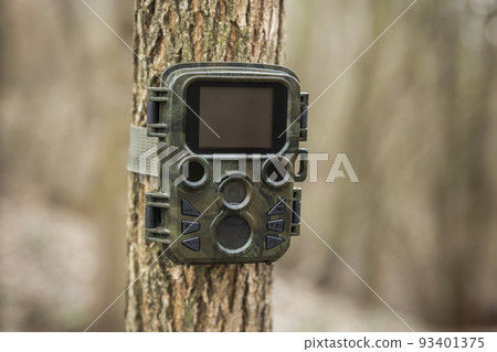 Wildlife monitoring camera trap attached to a tree by a strap in autumn forest 93401375