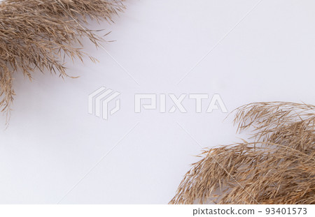 Dry pampas grass, reeds on a white background. Minimalistic concept. Flat layout, top view, place to copy. 93401573