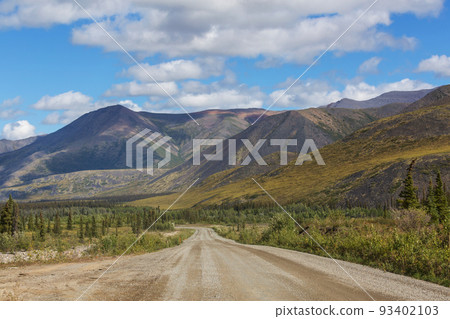 Road in tundra 93402103