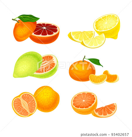 Fresh citrus fruits set. Grapefruit, sweet orange, tangerine, pomelo cartoon vector illustration 93402657
