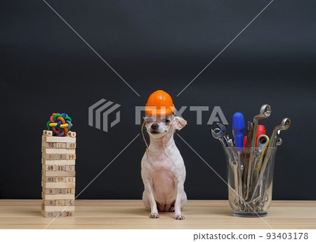 A small white chihuahua dog sits in a small orange protective construction helmet between a vase of construction tools and a tower of wooden bricks. 93403178