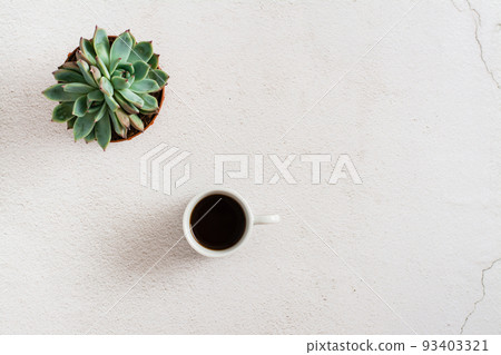 Cup of coffee and succulent on a light background. Home workplace and break. Eco lifestyle. Copy space Cup of coffee and succulent on a light background. Home workplace and break. Eco lifestyle. Copy space 93403321