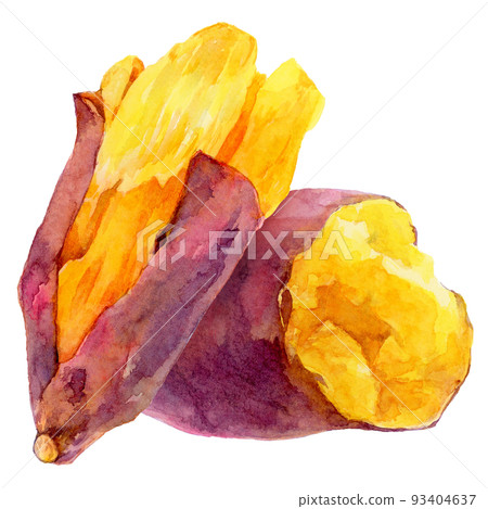 Watercolor sweet potato_overlapping baked sweet potato Watercolor sweet potato_overlapping baked sweet potato 93404637