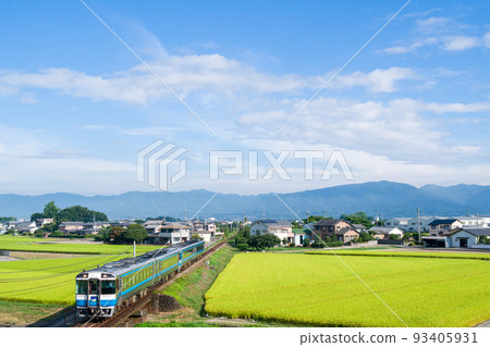 [Tokushima Line] Limited express train running through the countryside 93405931