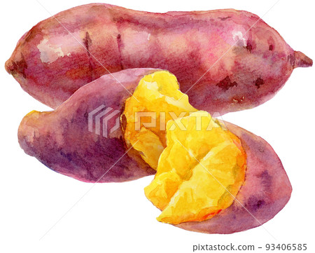 在水彩聚集的三個白薯 在水彩聚集的三個白薯 93406585