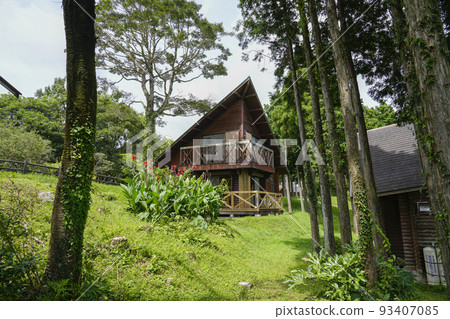 Taken at Yaeyama Park Camp Village in Kagoshima Prefecture. 93407085