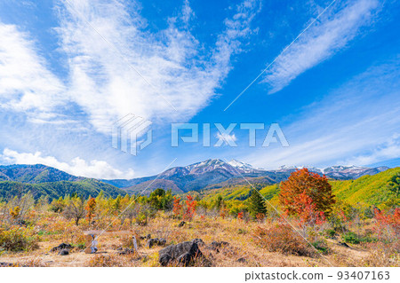 [秋季素材] 乘鞍高原，雪覆蓋的乘鞍山和大楓樹[長野縣] 93407163