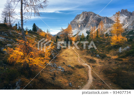 Beautiful orange trees and path in mountains at sunset. Autumn Beautiful orange trees and path in mountains at sunset. Autumn 93407734