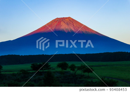 A spectacular view of Red Fuji reflected in the setting sun from Asagiri Plateau, Fujinomiya City, Shizuoka Prefecture, Japan A spectacular view of Red Fuji reflected in the setting sun from Asagiri Plateau, Fujinomiya City, Shizuoka Prefecture, Japan 93408453