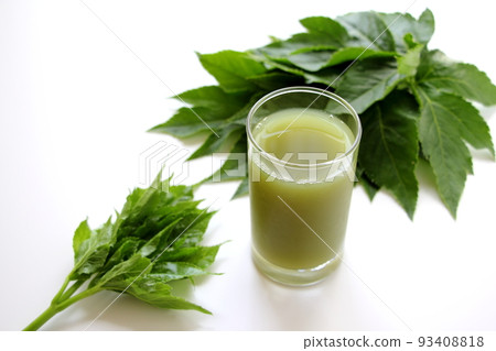 Ashitaba green juice tomorrow 93408818