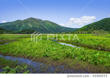 尾瀨原/下野大堀川觀景點 尾瀨原/下野大堀川觀景點 93409555