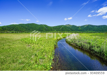River flowing through Ozegahara 93409559