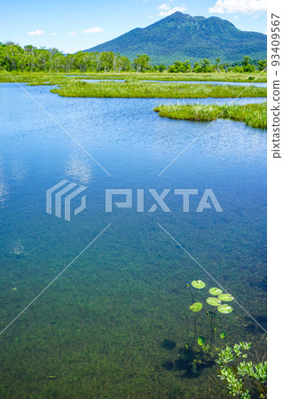 Ozegahara aquatic plants and Mt. Hiuchigatake 93409567