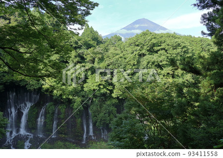 富士和Shiraito瀑布 93411558