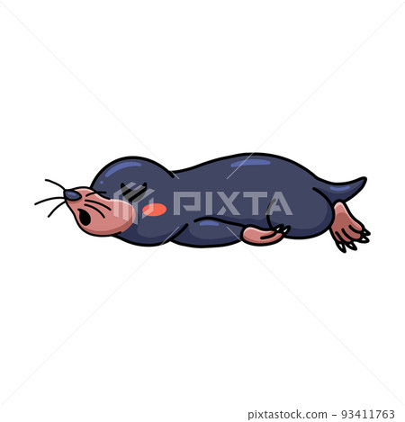 animal, cartoon, chipmunk 93411763