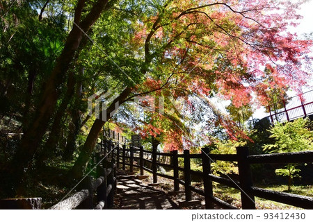 群馬縣綠市 沿著渡瀨川和秋葉的高松峽長廊 93412430
