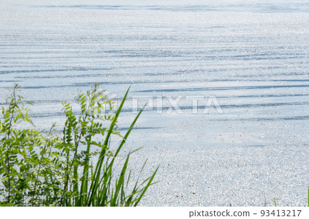 The meadow that spreads out along the shore of the lake The meadow that spreads out along the shore of the lake 93413217