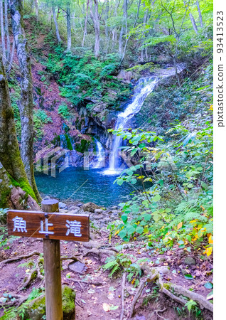 森林和Uodome瀑布（垂直）1 93413523