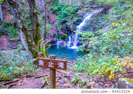 Forest and Uodome Falls Forest and Uodome Falls 93413524