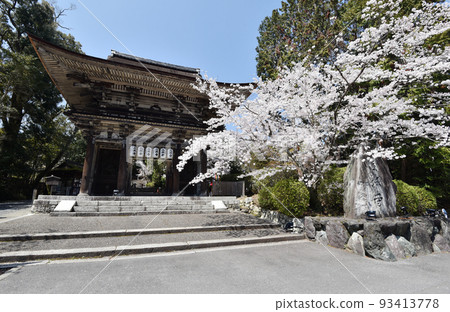 Mii-dera Temple in Spring, Niomon Gate, Otsu City, Shiga Prefecture 93413778