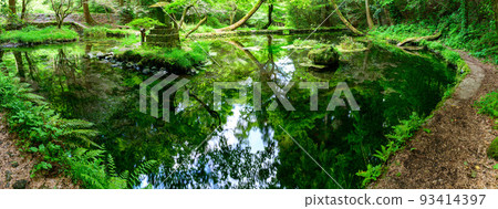 映照在水面上的水源風景 ``旅遊勝地:100個名水選擇的山吹水源'' 被原始森林環繞的寧靜水源(阿蘇縣產山村) 山吹水源 映照在水面上的水源風景 ``旅遊勝地:100個名水選擇的山吹水源'' 被原始森林環繞的寧靜水源(阿蘇縣產山村) 山吹水源 93414397