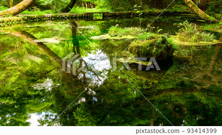 映照在水面上的水源風景 ``旅遊勝地:100個名水選擇的山吹水源'' 被原始森林環繞的寧靜水源(阿蘇縣產山村) 山吹水源 映照在水面上的水源風景 ``旅遊勝地:100個名水選擇的山吹水源'' 被原始森林環繞的寧靜水源(阿蘇縣產山村) 山吹水源 93414399