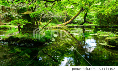 映照在水面上的水源風景 ``旅遊勝地：100個名水選擇的山吹水源'' 被原始森林環繞的寧靜水源（阿蘇縣產山村） 山吹水源 93414402