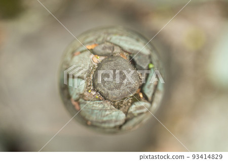 大理石中倒映出的蘋果形石頭 93414829